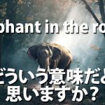 「Elephant in the room」って？日本人が超共感しちゃうその意味とは！